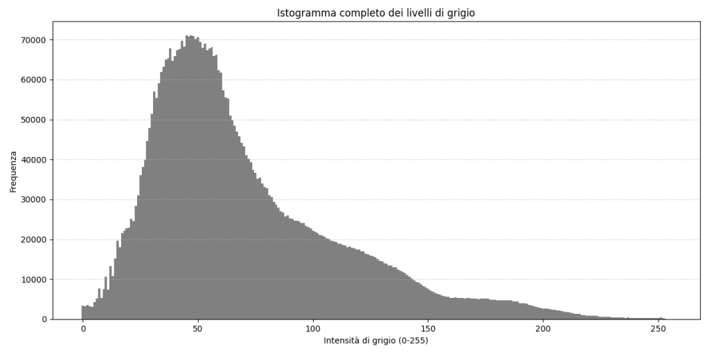 istogramma_in_fotografia_cosè_e_come_si_crea_istogramma_luminanza
