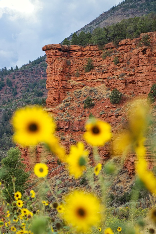 Il colore rosso tipico delle montagne del Colorado, dovuto alla ferrite contenuta in esse